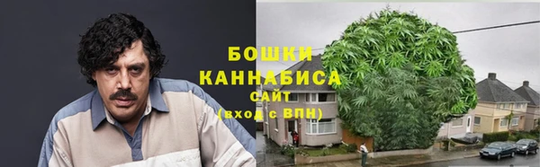 прущая мука Елабуга