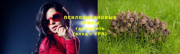 гашиш Ельня