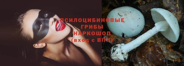 прущая мука Елабуга