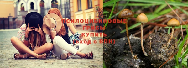 гашиш Ельня
