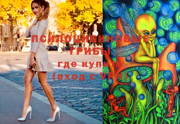 гашиш Ельня