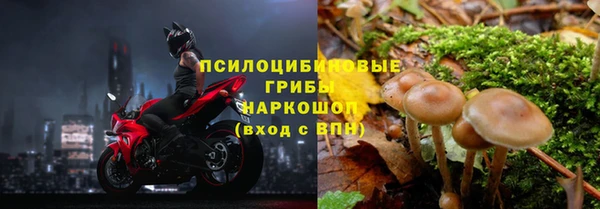 прущая мука Елабуга