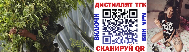 ТГК Wax  Мытищи 