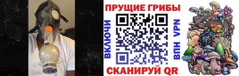 Псилоцибиновые грибы GOLDEN TEACHER Мытищи